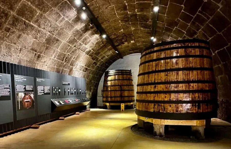 Porto: Cruise, Port Wine Cellars, Fado, and Dinner - Key Things You’ll Notice Right Away