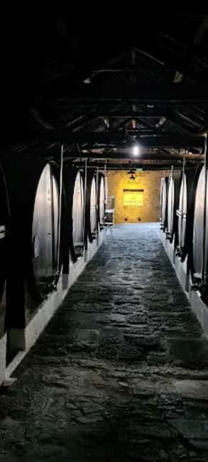 Porto: Cruise, Port Wine Cellars, Fado, and Dinner - Porto From the Water, 50 Minutes That Sets the Mood