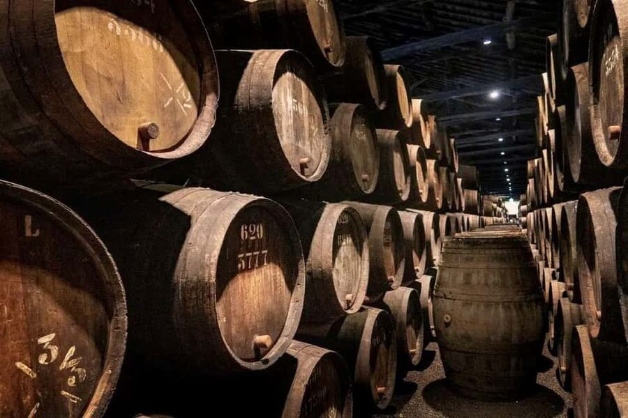 Porto: Cruise, Port Wine Cellars, Fado, and Dinner - The Douro Cruise Stop: What You’ll See and How to Enjoy It