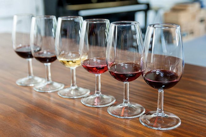 Porto: Day Trip to Douro including lunch and Rivercruise - Wine, food, and what the best guides do with this day