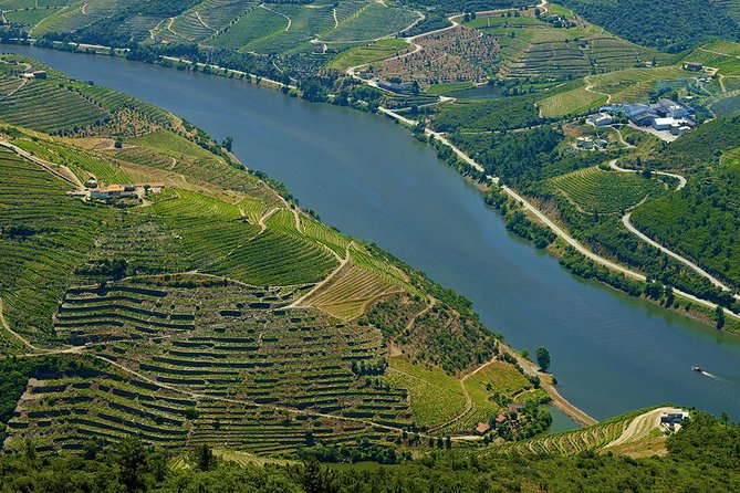 Porto: Day Trip to Douro including lunch and Rivercruise - Cais do Pinhão: the cruise moment that ties the whole valley together
