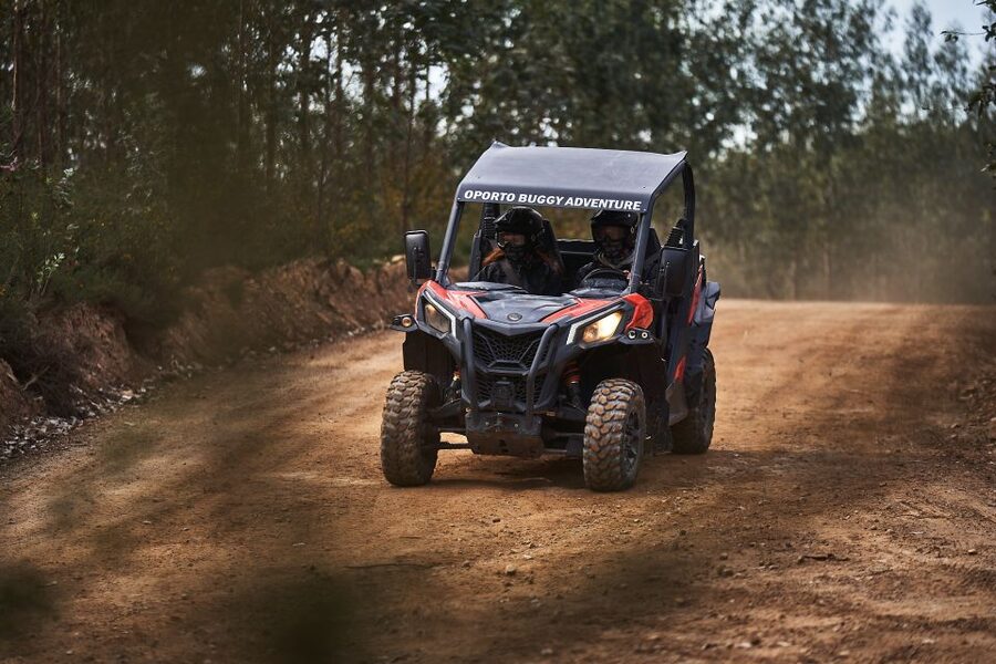 Porto: Dirt and Dust Tour by Oporto Buggy - Should You Book Porto Dirt and Dust by Oporto Buggy?