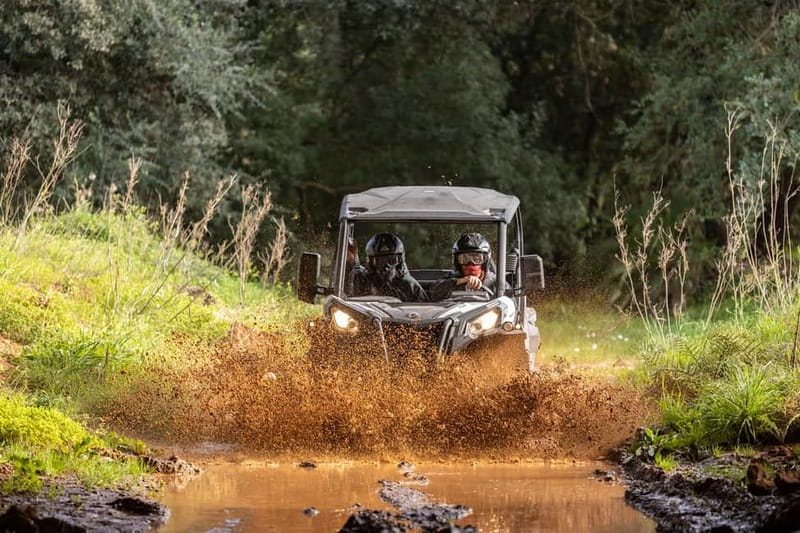 Porto: Dirt and Dust Tour by Oporto Buggy - A 60-Minute Buggy Ride That Packs Maximum Adrenaline