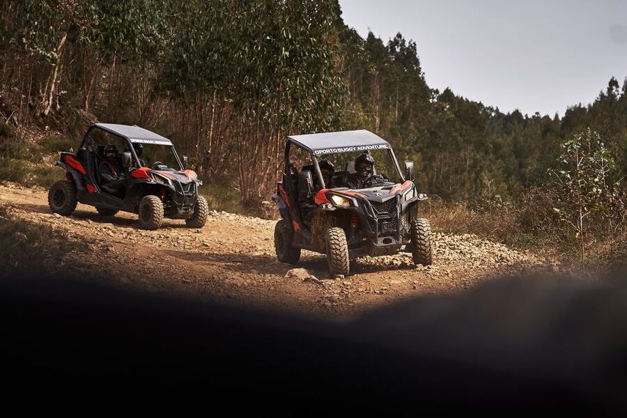 Porto: Dirt and Dust Tour by Oporto Buggy - Driving the 2-Seat Buggy: What You Control (and What You Should Prepare For)