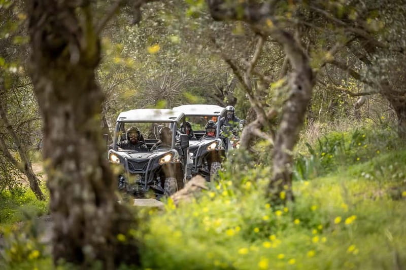 Porto: Dirt and Dust Tour by Oporto Buggy - Rally de Portugal Shakedown Pass: The Motorsports Feeling in Real Life