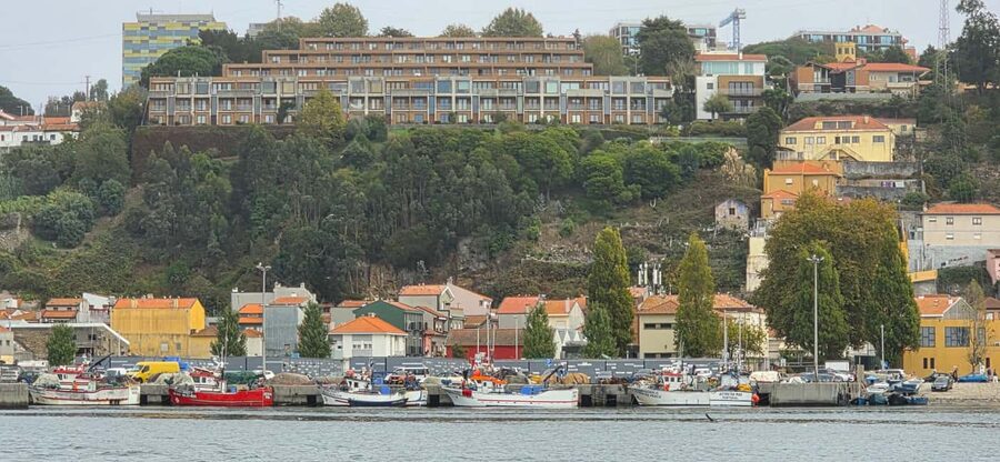 Porto: Discover the Douro River by Sailing Boat - A 1-Hour Douro Sail That Feels Like a Local Shortcut