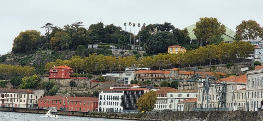 Porto: Discover the Douro River by Sailing Boat - Under the Big Bridges: Luís I, Port Cellars, and Rope-Bridge Traces