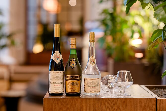 Porto : Discover Valença and Green Wines NO Palácio Brejoeira - How the 6-Hour Format Works From Porto
