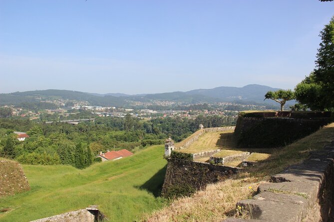 Porto : Discover Valença and Green Wines NO Palácio Brejoeira - The Guide Factor, and Why Eduardo Helps the Day Click