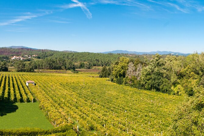 Porto : Discover Valença and Green Wines NO Palácio Brejoeira - Palácio da Brejoeira Near Monção, Neoclassicism With Real Character