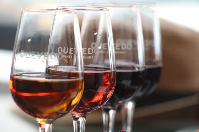 Porto Discovery - Who Porto Discovery Is Best For (and Who Might Skip It)