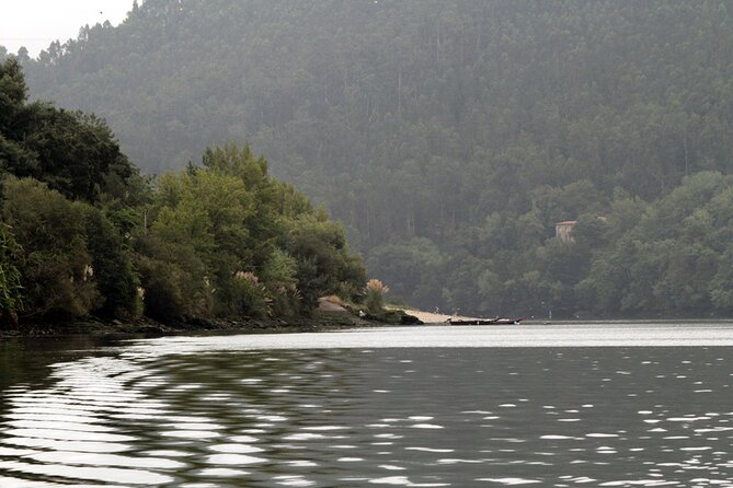 Porto Douro Nature Boat Tour - Stop 1: setting sail from Marina do Freixo