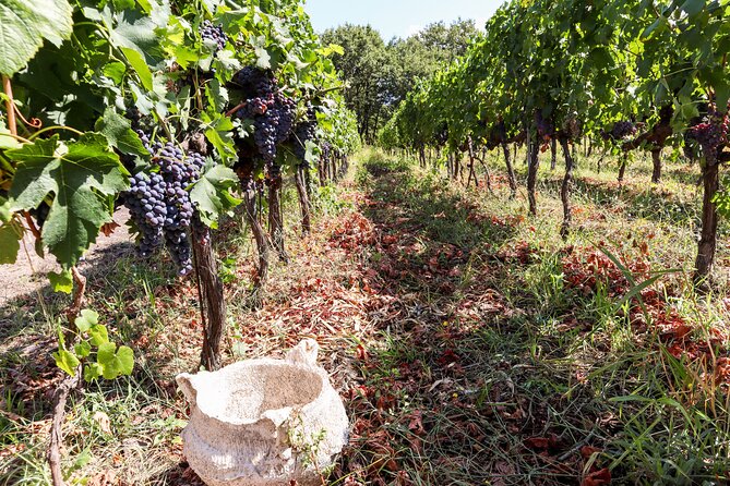 Porto: Douro Valley, 2 Wine Regions, Sommelier, Boat Trip & Lunch - The Douro boat ride after lunch: an hour for photos and conversation