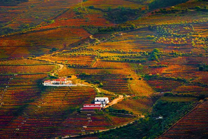 Porto: Douro Valley, 2 Wine Regions, Sommelier, Boat Trip & Lunch - Miradouro Torguiano stop: a 10-minute picture pause that keeps the drive moving