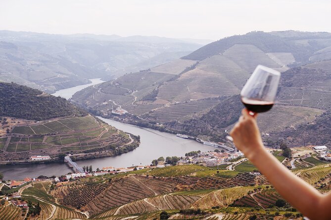 Porto: Douro Valley, 2 Wine Regions, Sommelier, Boat Trip & Lunch - Sabrosa second winery: 5th-generation family ties, DOC pours, and aged Port