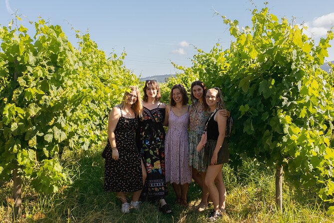 Porto: Douro Valley, 2 Wine Regions, Sommelier, Boat Trip & Lunch - Penafiel winery: family vineyards, olive grove, and Port-opening surprises
