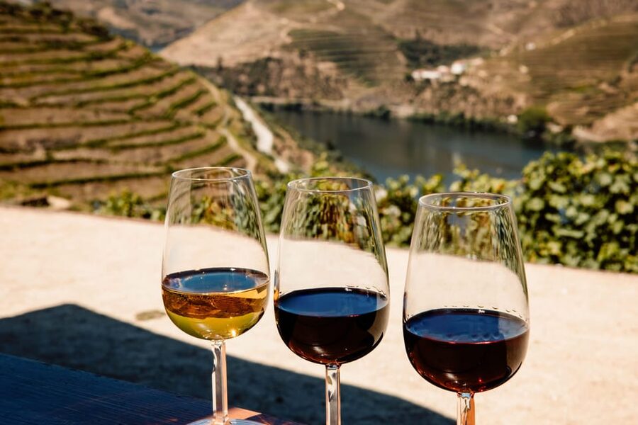 Porto: Douro Valley & Amarante Wine, Food & River Tour - Pinhão private cruise: tapas, sparkling wine, and river time