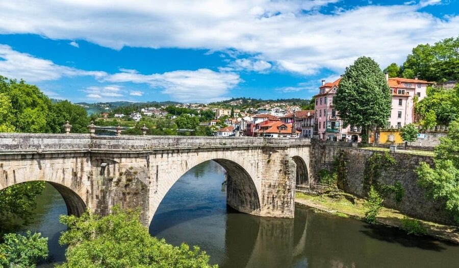 Porto: Douro Valley & Amarante Wine, Food & River Tour - Price and value: what you really get for $92