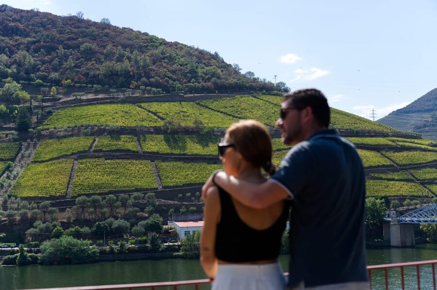 Porto: Douro Valley & Amarante Wine, Food & River Tour - The N222 scenic drive and the quinta cellar Port tasting