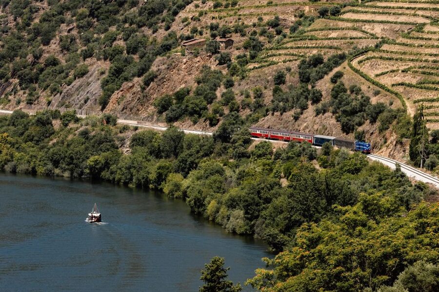 Porto: Douro Valley Full-Day Boat, Train, and Lunch Tour - Key Things You’ll Notice on This Douro Day