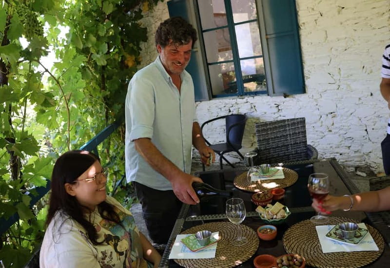 Porto: DOURO VALLEY Half-day Tour - Key highlights