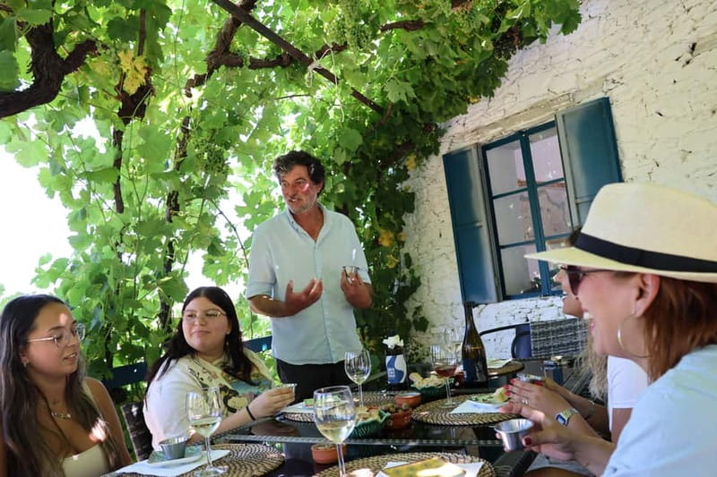 Porto: DOURO VALLEY Half-day Tour - What to Bring So the Day Feels Easy