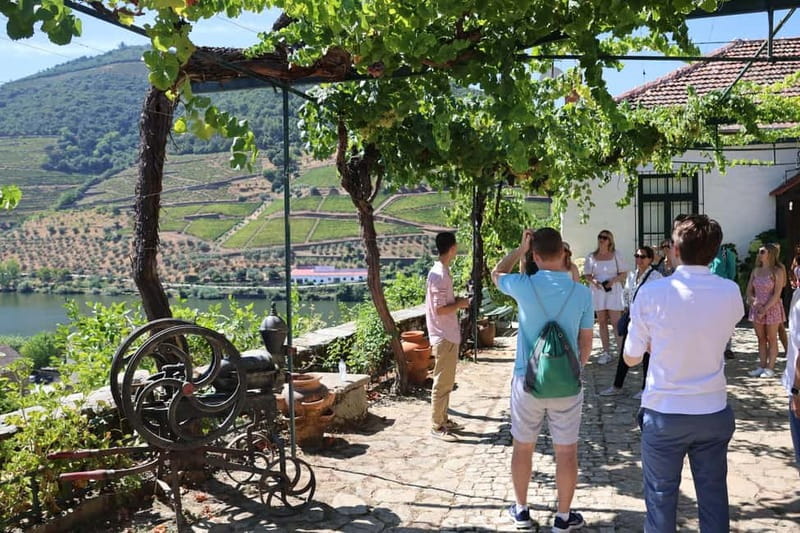 Porto: DOURO VALLEY Half-day Tour - A Half-Day Douro Fix From Porto