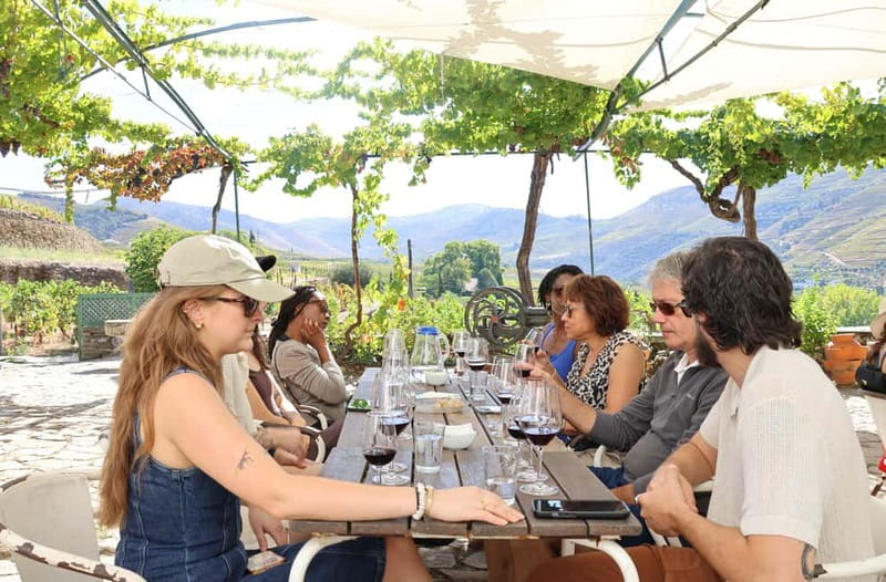 Porto: DOURO VALLEY Half-day Tour - Winery Stop: Tasting With Homemade Bites