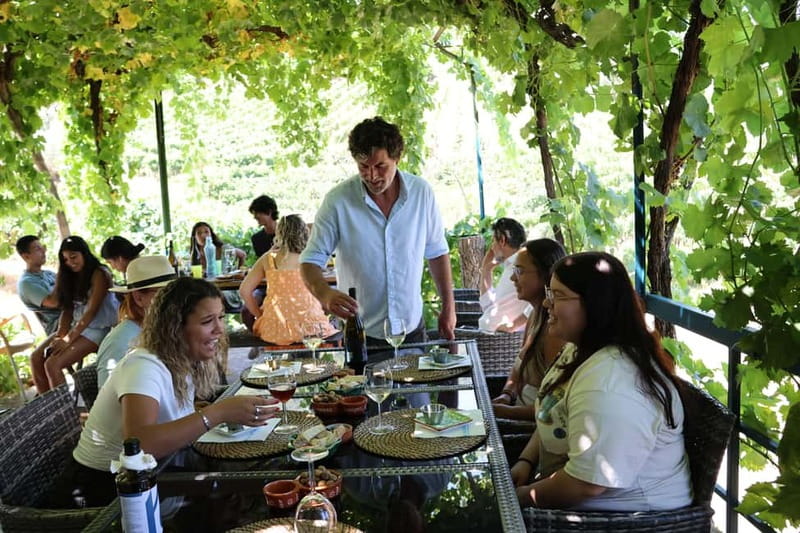 Porto: DOURO VALLEY Half-day Tour - The Douro River Boat Ride That Often Steals the Show