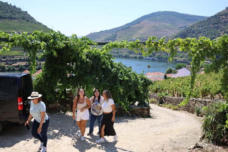 Porto: DOURO VALLEY Half-day Tour - How Much Wine Youll Actually Drink (And What to Do If Youre Not a Wine Nerd)