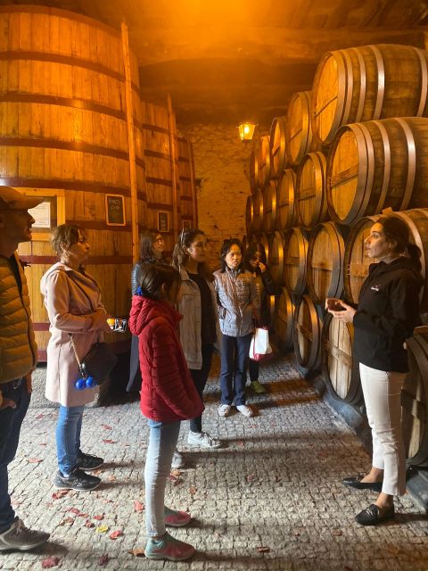 Porto: DOURO VALLEY Half-day Tour - Price and Logistics: Is $83 Good Value?