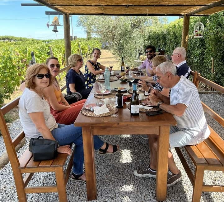 Porto: DOURO VALLEY Half-day Tour - Who This Tour Fits Best, and Who Should Skip It