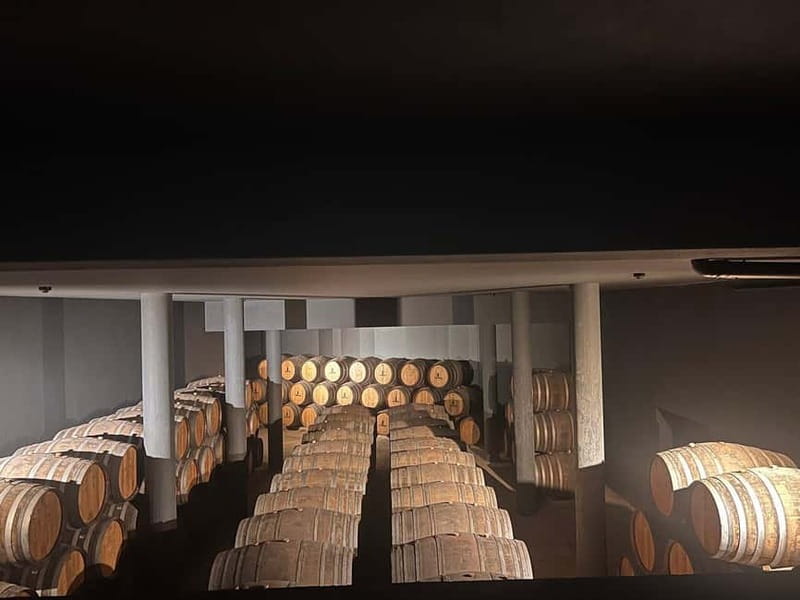 Porto: Douro Valley Half-Day Wine and Food Tour - Key highlights you will feel right away