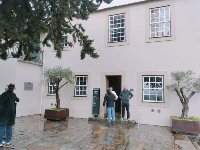 Porto: Douro Valley Half-Day Wine and Food Tour - The 15-minute photo stop: use it like a pro