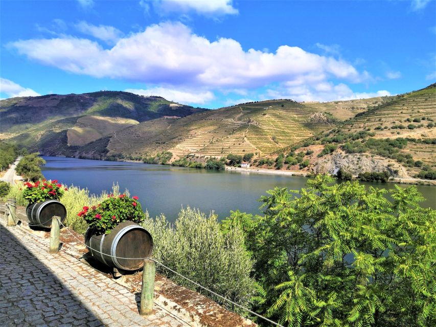 Porto: Douro Valley Private Grand Experience - Private - Who This Tour Suits Best (wine lovers, families, groups of friends)