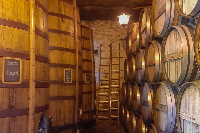 Porto: Douro Valley Private Grand Experience - Private - Pacing, comfort, and the small “real life” details