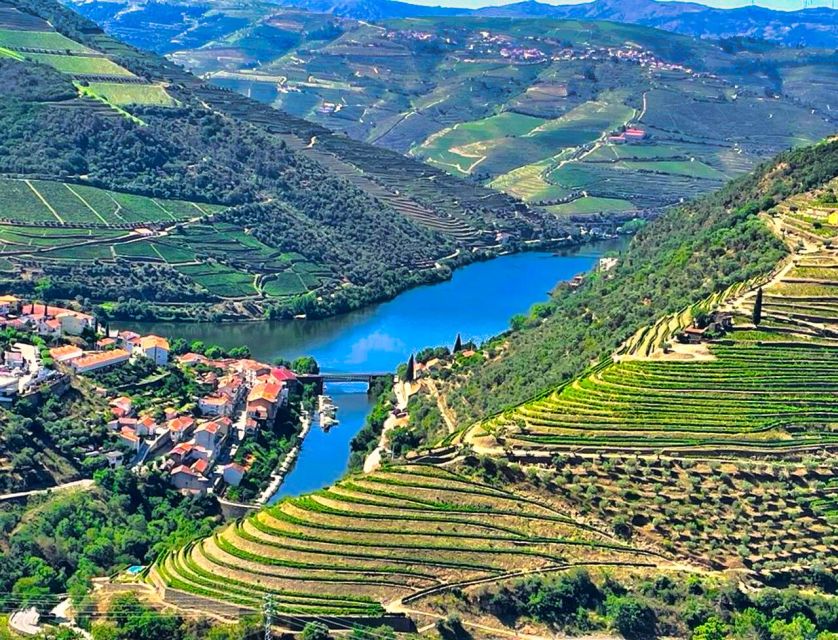 Porto: Douro Valley Private Tour 2 Vineyards & River Cruise - A Private 9-Hour Douro Day That Feels Like More Than the Sum of Stops