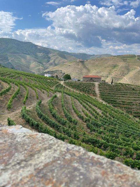 Porto: Douro Valley Private Tour 2 Vineyards & River Cruise - Morning Pickup in Porto, Then a Scenic Drive Toward the UNESCO Douro