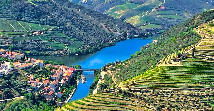 Porto: Douro Valley Private Tour 2 Vineyards & River Cruise - Sabrosa Lunch at a Vineyard Viewpoint, Then Port After the Meal