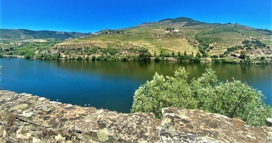 Porto: Douro Valley Private Tour 2 Vineyards & River Cruise - São Cristovão do Douro: Photo Stop and Scenic View Breaks