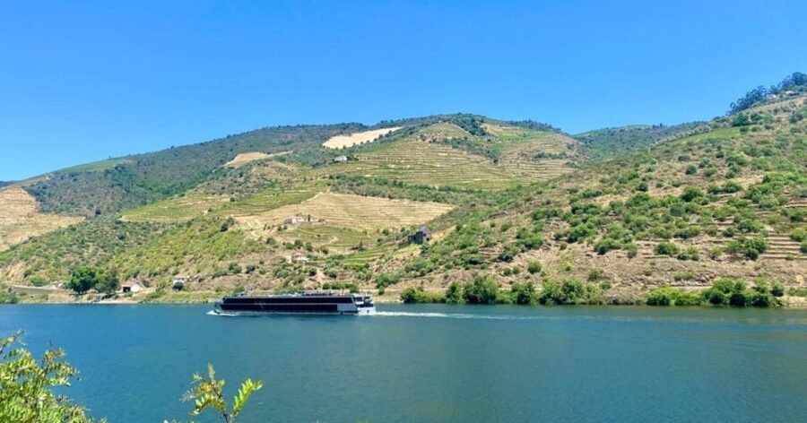 Porto: Douro Valley Private Tour 2 Vineyards & River Cruise - Port Wine and the Douro Context You’ll Actually Use