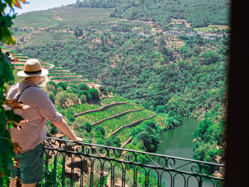 Porto: Douro Valley Private Tour, Tastings, Cruise & Lunch - Key things you will remember from this Douro day