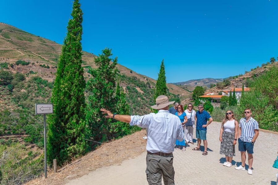 Porto: Douro Valley Private Tour, Tastings, Cruise & Lunch - Price and value: what $335 per person actually buys you