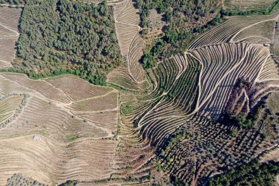 Porto: Douro Valley Tour w/ 3 Tastings, Lunch, & Opt. Cruise - Porto to the Douro With an 8-Person Group (Why It Matters)