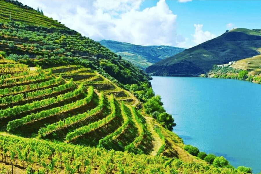 Porto: Douro Valley Tour w/ 3 Tastings, Lunch, & Opt. Cruise - Pinhão Train Station Tiles and Your Choice: Boat Cruise or a Slow Stroll