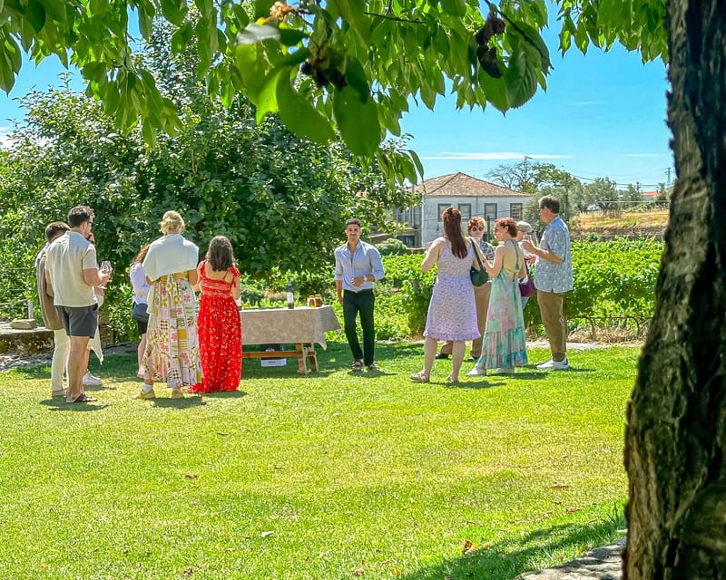 Porto: Douro Valley Tour with 2 Wineries, Lunch and Cruise - Key things I’d mark as highlights