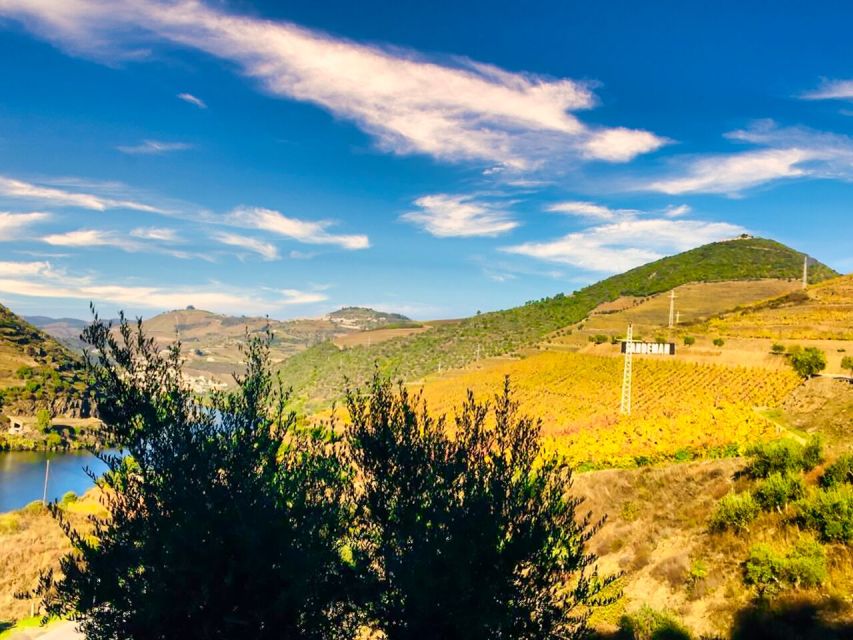 Porto: Douro Valley Tour with 2 Wineries, Lunch and Cruise - Sabrosa wineries: lunch, wine tasting, and the long host-led segment