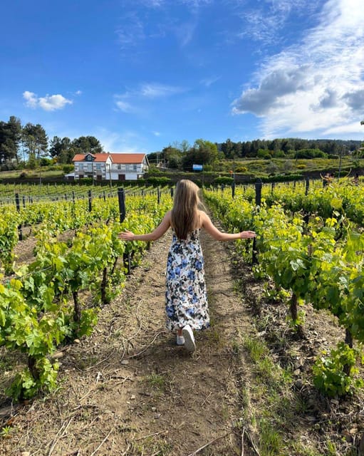 Porto: Douro Valley Tour with 2 Wineries, Lunch and Cruise - Olive oil tastings: a clever bonus if you like to taste broadly