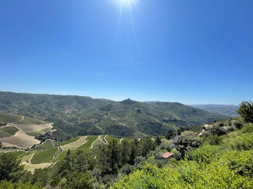 Porto: Douro Valley Tour with 2 Wineries, Lunch and Cruise - Morning in Favaios: Cobblestones, Aperitif, and Bread from an Old Oven