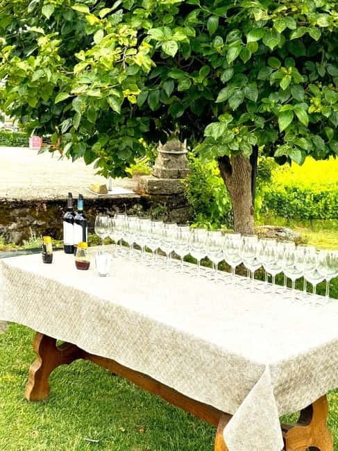 Porto: Douro Valley Tour with 3 Wineries and Lunch - Key Points You Should Know Before You Go